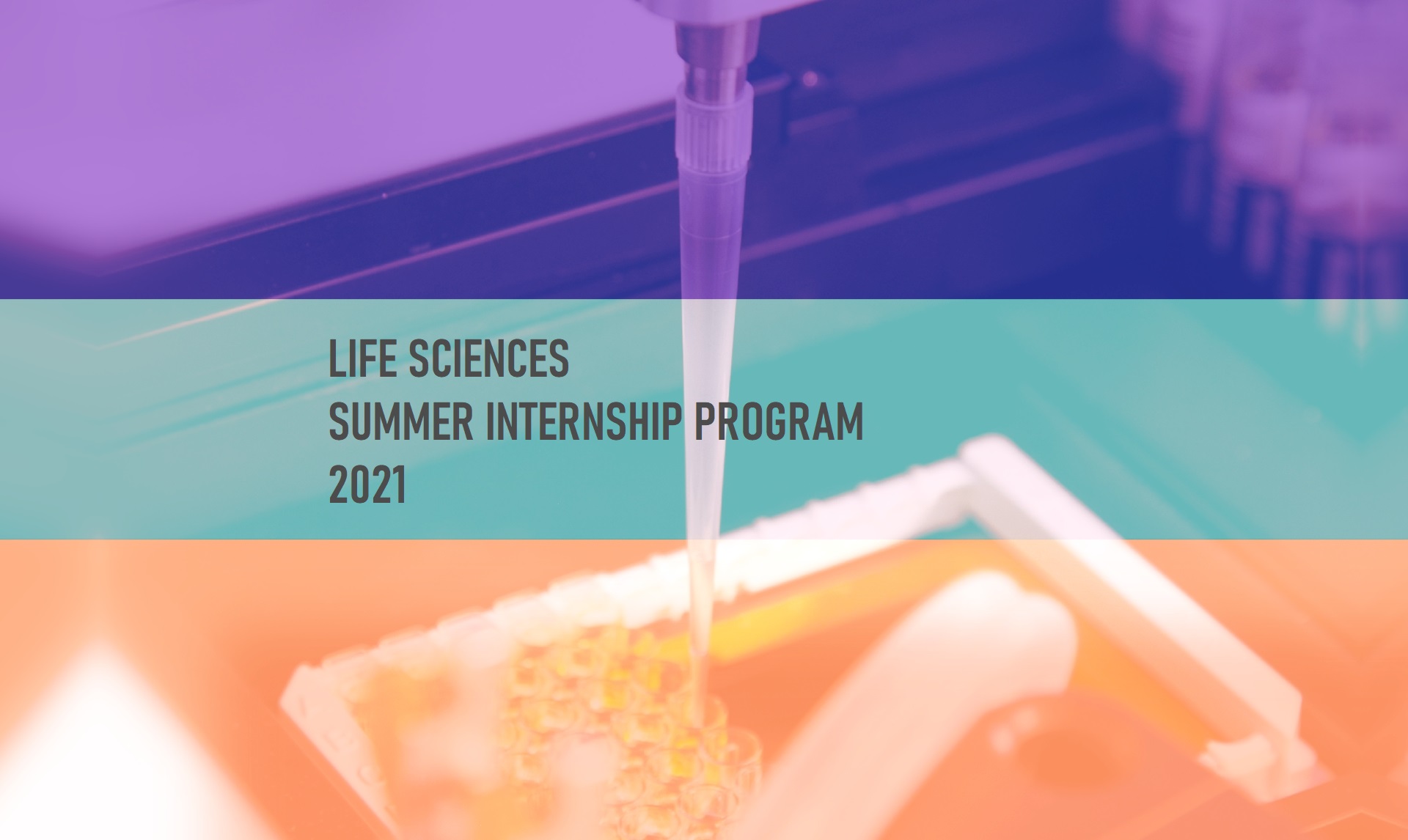 Summer Internship Program - Banner 