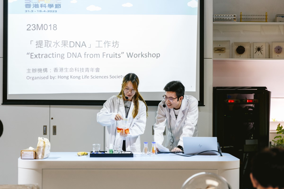 Workshop Highlight: Extracting DNA from Fruits