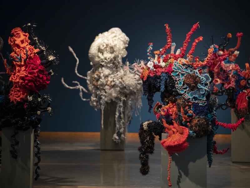 編織藝術展示氣候變化對珊瑚的影響