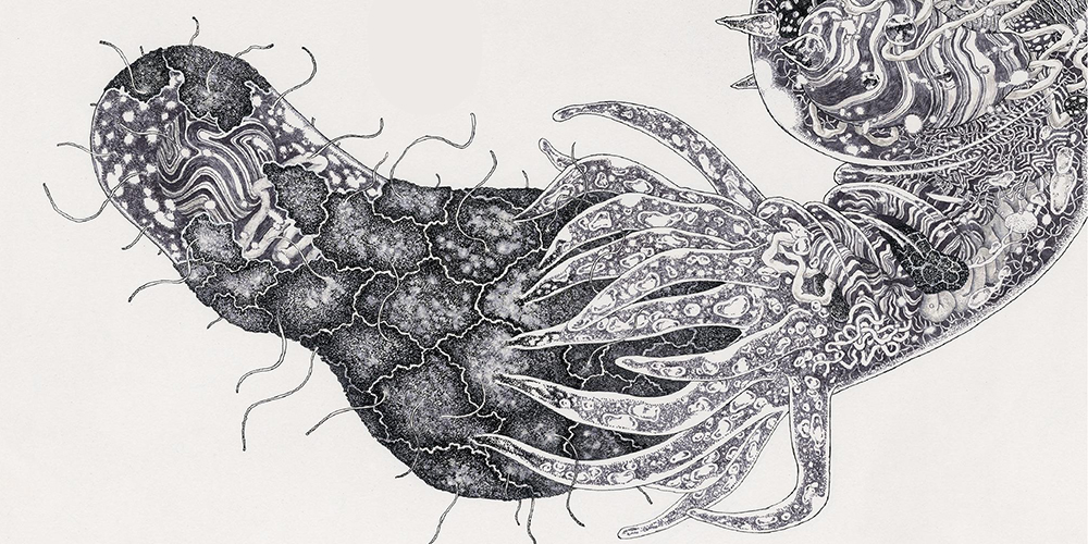 藝術手繪展示免疫細胞工作原理